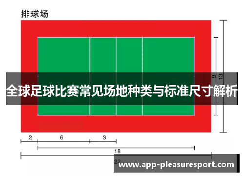 全球足球比赛常见场地种类与标准尺寸解析